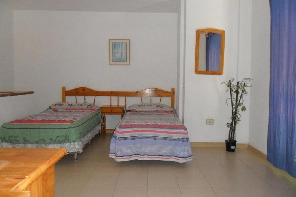Apartamentos Alondras Park Costa del Silencio Eksteriør billede